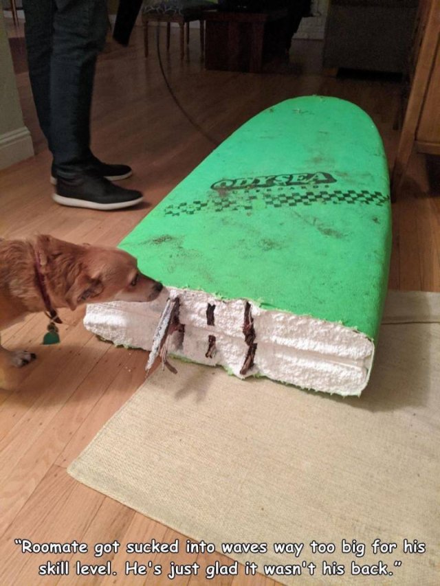Bad Days Happen (46 pics)