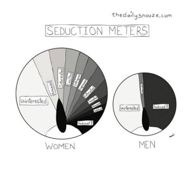 All About Women (24 pics)