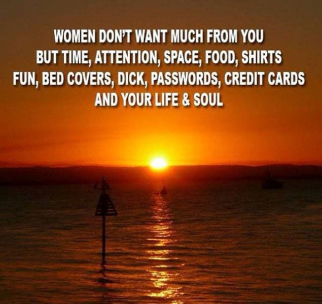 All About Women (24 pics)