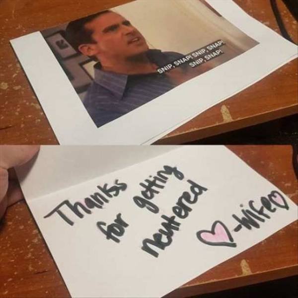 Random Funny Memes (88 pics)