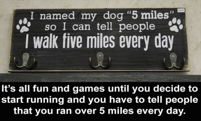 Random Funny Memes (88 pics)