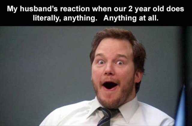 Random Funny Memes (88 pics)