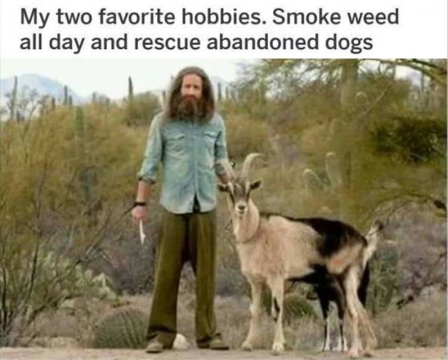 Random Funny Memes (88 pics)