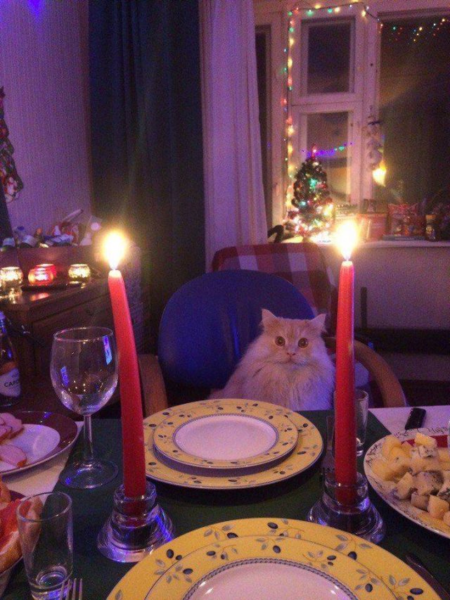 Acid Picdump. Part 1 (93 pics)