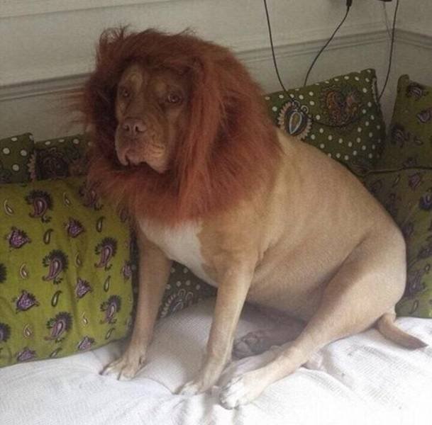 Acid Picdump. Part 1 (93 pics)