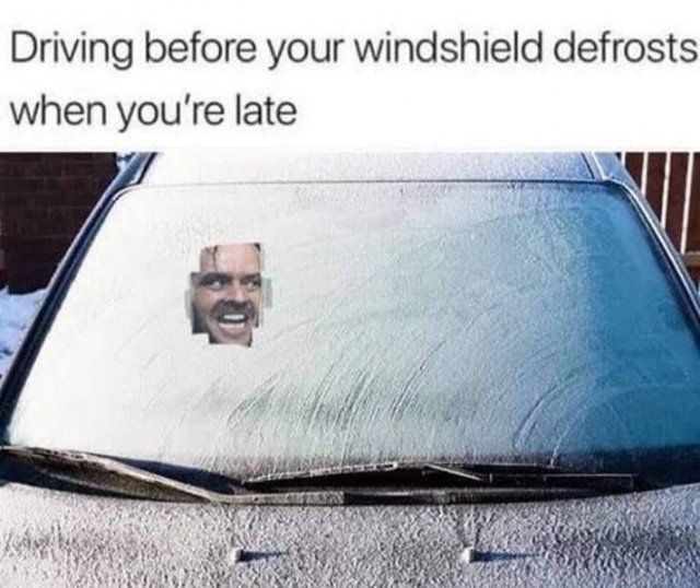 Driving Memes (29 pics)