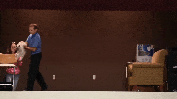 Acid Gifdump, October 28 (25 gifs)