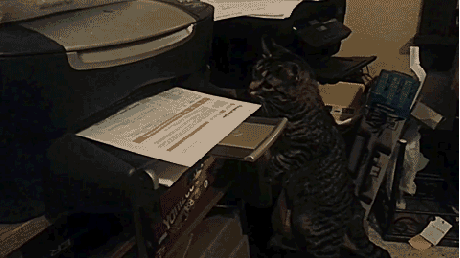 Acid Gifdump, October 28 (25 gifs)