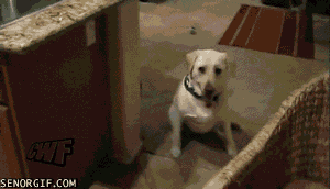 Acid Gifdump, October 28 (25 gifs)
