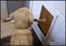 Acid Gifdump, October 28 (25 gifs)