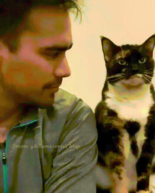 Acid Gifdump, October 28 (25 gifs)