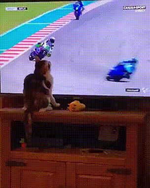 Acid Gifdump, October 28 (25 gifs)