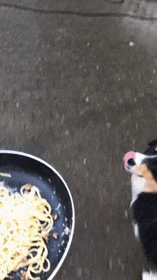 Acid Gifdump, October 28 (25 gifs)