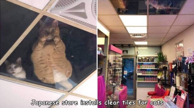 Acid Picdump. Part 2 (94 pics)