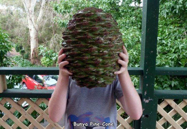 Acid Picdump. Part 2 (94 pics)