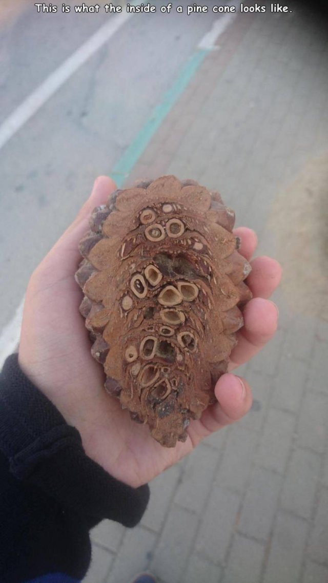 Acid Picdump. Part 2 (94 pics)