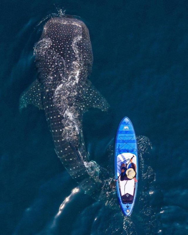 Acid Picdump. Part 2 (94 pics)