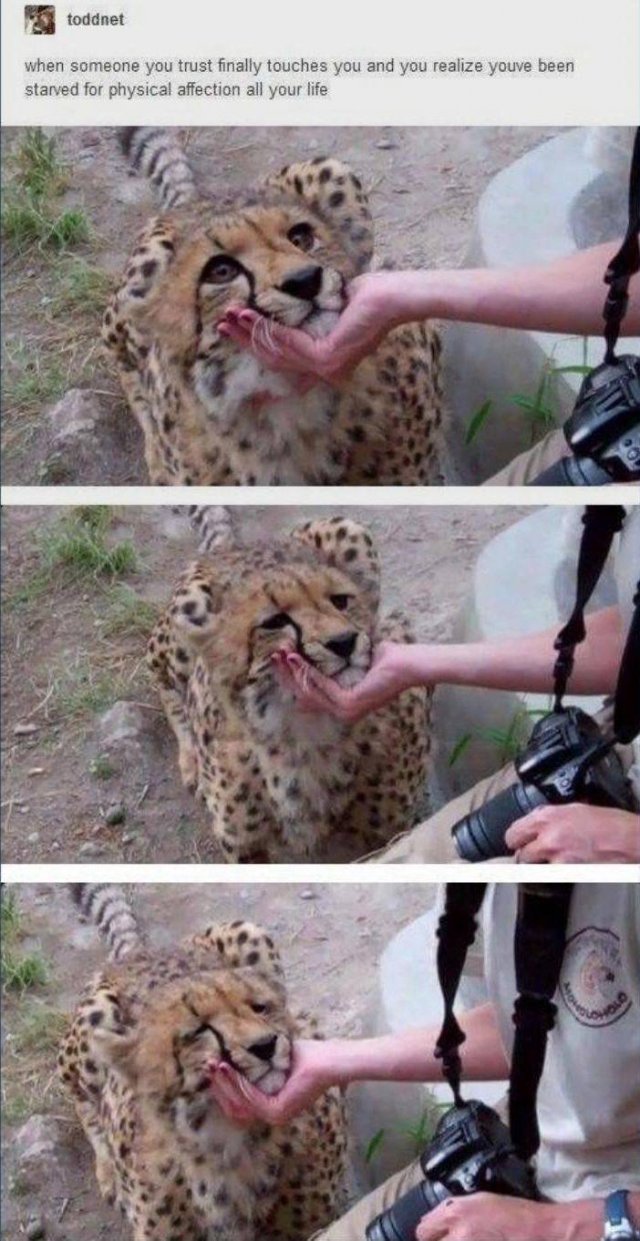 Acid Picdump. Part 1 (94 pics)