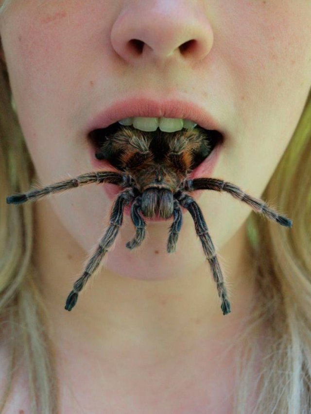 Acid Picdump. Part 1 (94 pics)