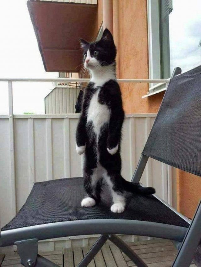 Acid Picdump. Part 1 (94 pics)
