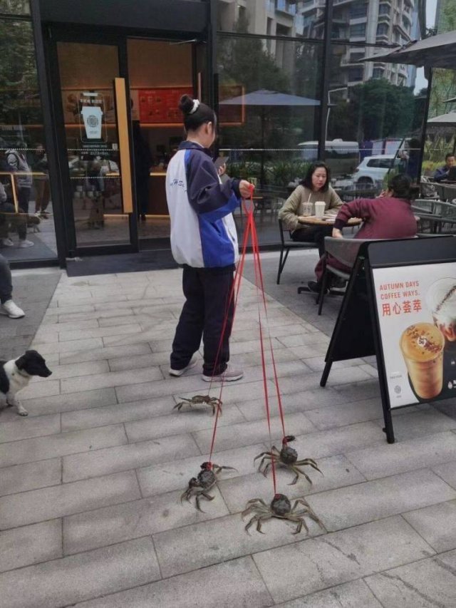 Acid Picdump. Part 1 (94 pics)