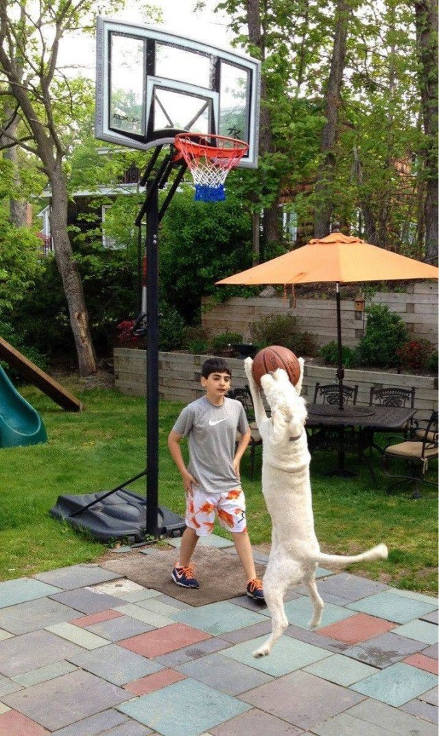 Acid Picdump. Part 1 (94 pics)