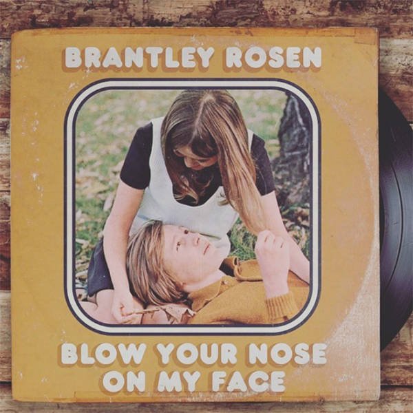 Vintage Album Covers Parodies (21 pics)