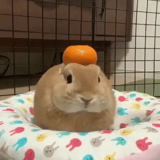Acid Gifdump, October 29 (25 gifs)