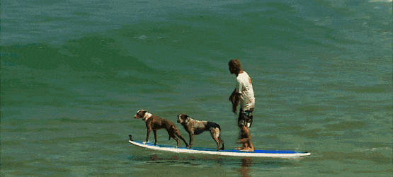 Acid Gifdump, October 29 (25 gifs)