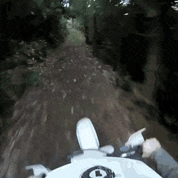 Acid Gifdump, October 29 (25 gifs)