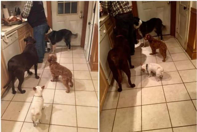 Interesting Coincidences (20 pics) Interesting Coincidences (20 pics)