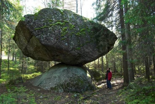 Amazing Photos (53 pics)