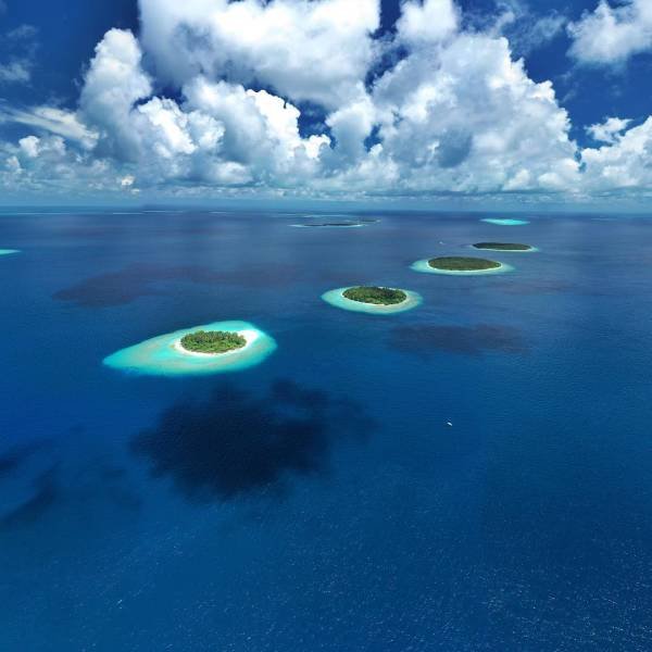 Amazing Photos (53 pics)