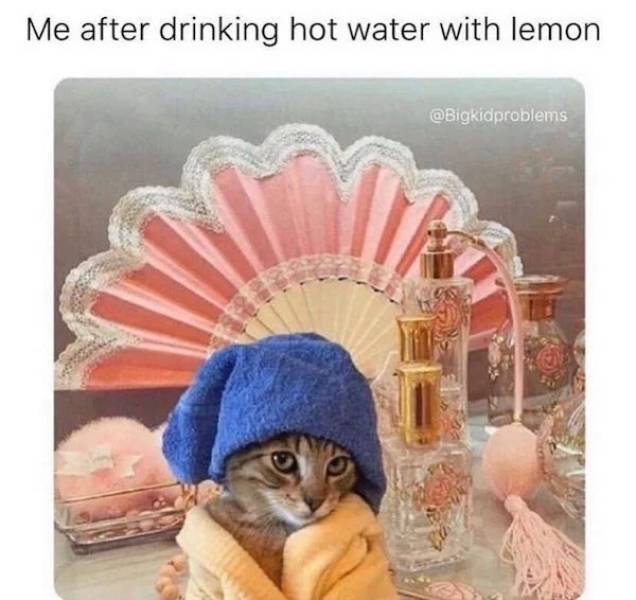 Only Women Will Understand (31 pics)
