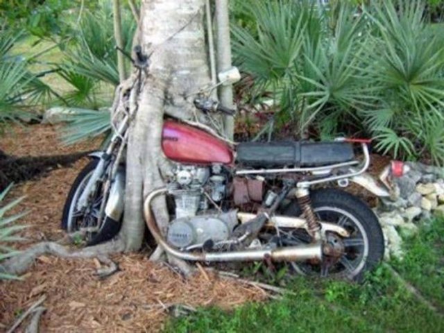 Amazing Photos (53 pics)