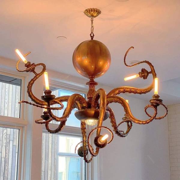 Amazing Photos (53 pics)
