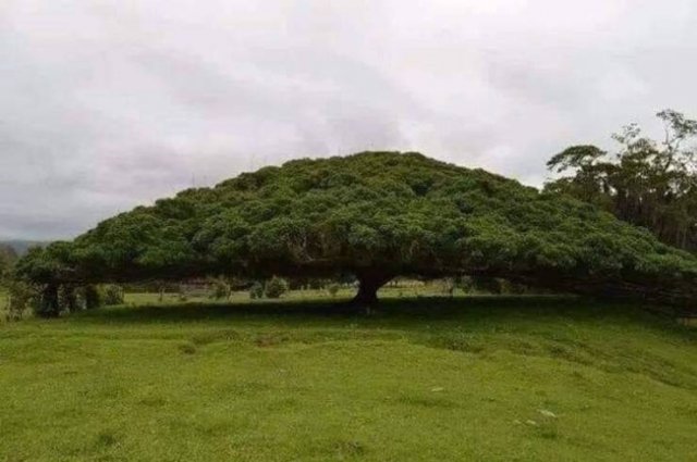 Amazing Photos (53 pics)