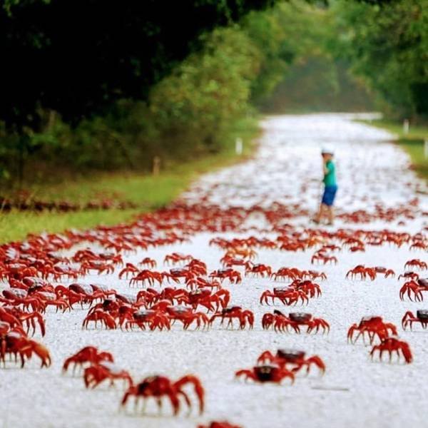 Amazing Photos (53 pics)