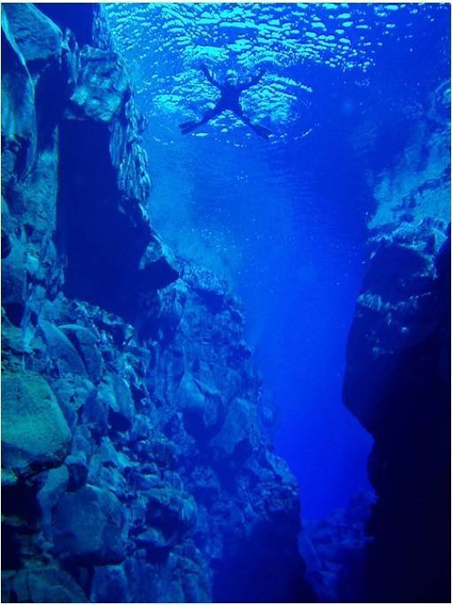 Amazing Photos (53 pics)