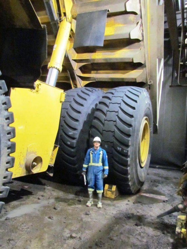 Just Compare These Things (23 pics)