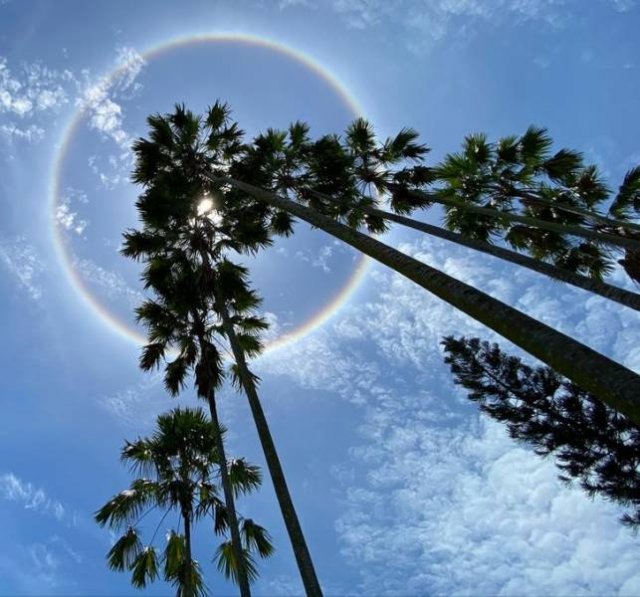 Amazing Photos (53 pics)