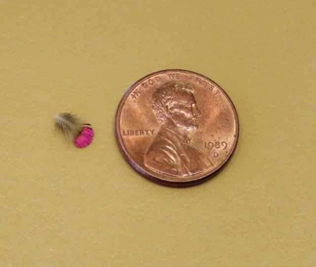 Just Compare These Things (23 pics)