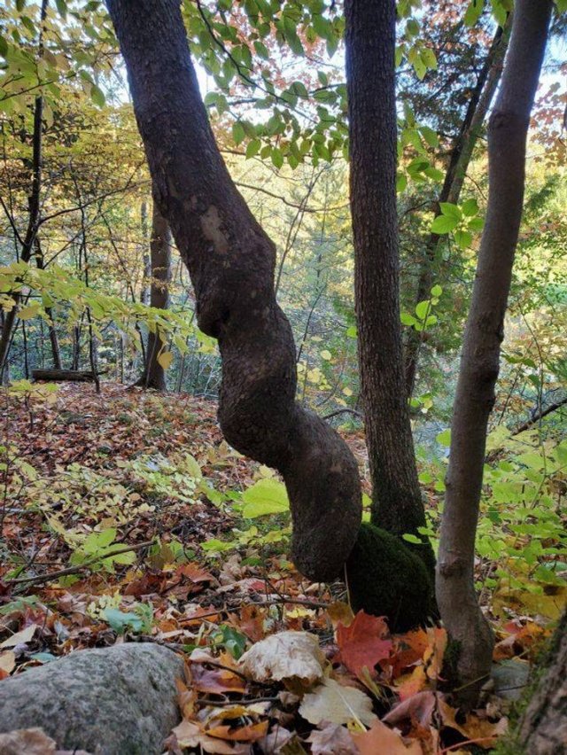 Amazing Photos (53 pics)
