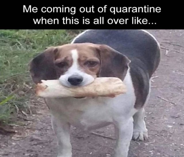 Random Funny Memes (74 pics)