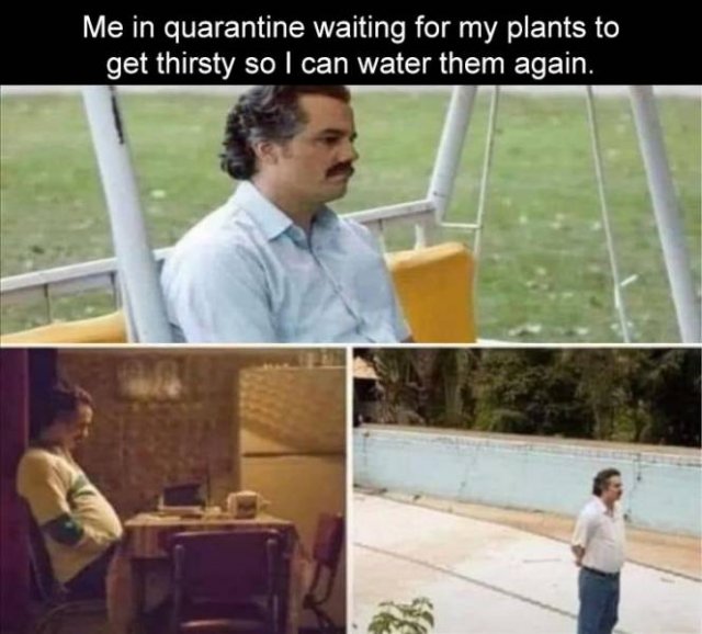 Random Funny Memes (74 pics)