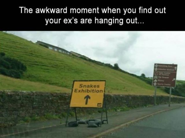 Random Funny Memes (74 pics)