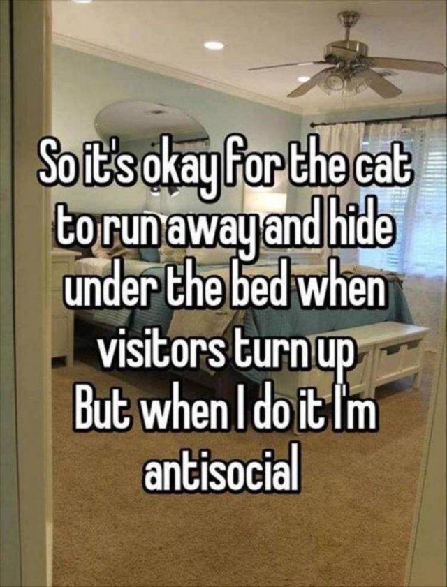 Random Funny Memes (74 pics)