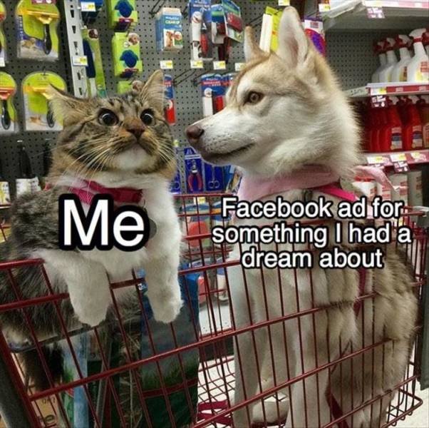 Random Funny Memes (74 pics)