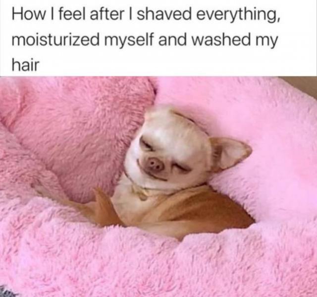 Random Funny Memes (74 pics)