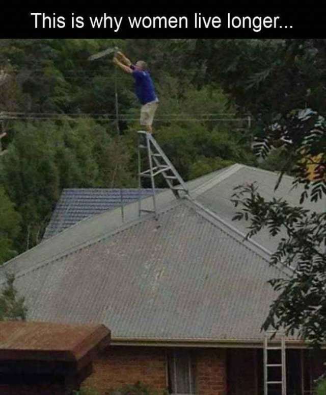 Random Funny Memes (74 pics)